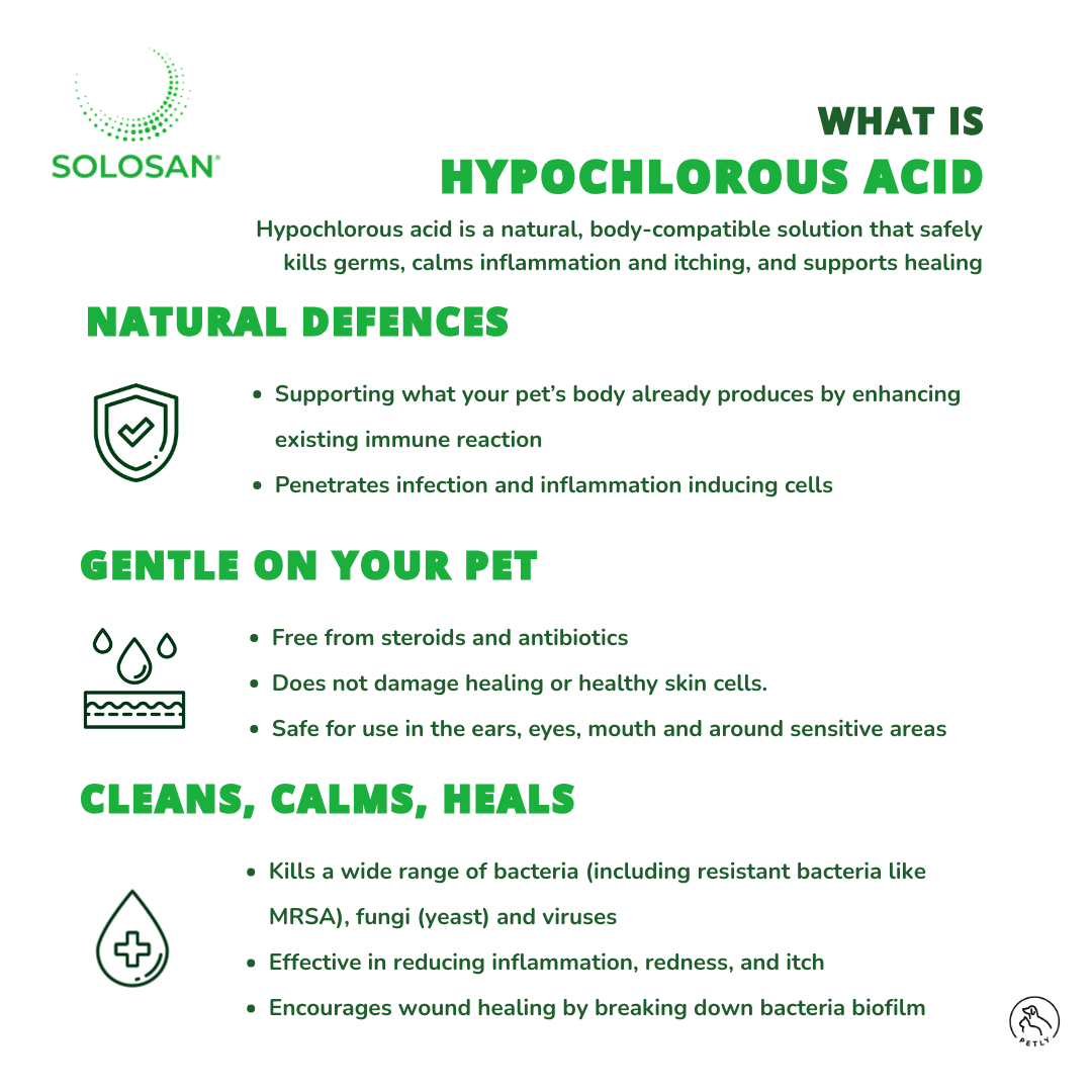 Solosan Antiseptic Ear Drop