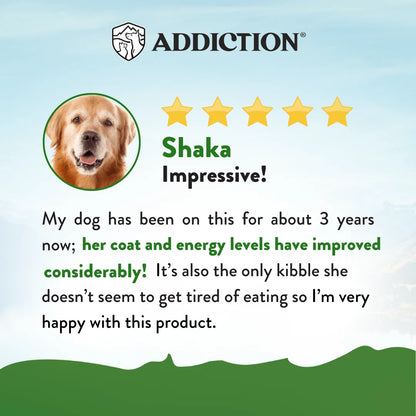 Addiction Vegetarian Grain-Free Dry Dog Food