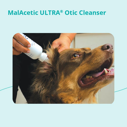 Dechra MalAcetic Ultra Otic Cleanser