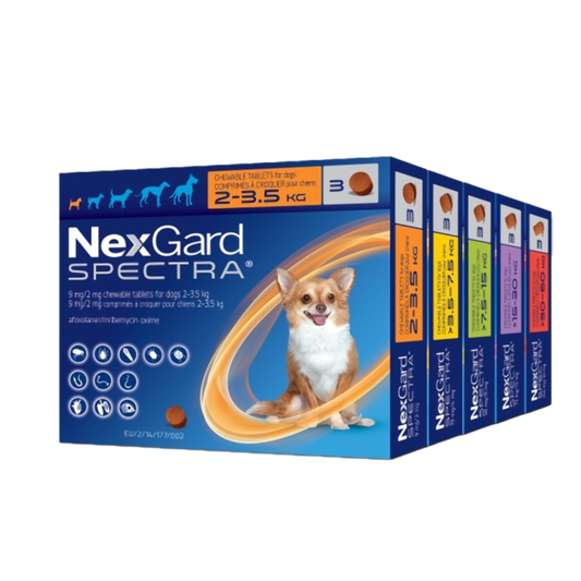 NexGard SPECTRA