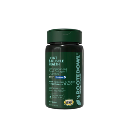 Rooted Owl Joint & Muscle Health