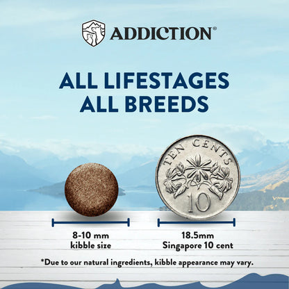 Addiction Kangaroo Grain-Free Dry Cat Food