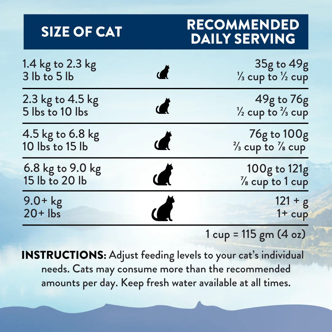 Addiction Kangaroo Grain-Free Dry Cat Food