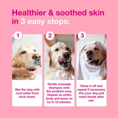 Douxo S3 CALM Shampoo